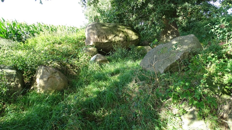 Löningen 3 (Passage Grave) by Nucleus