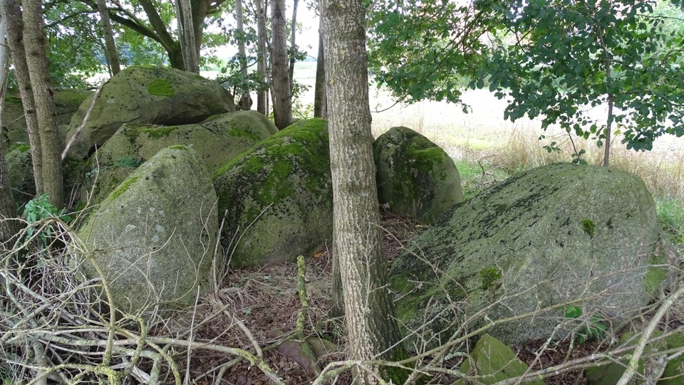 Reckumer Steine 1 (Passage Grave) by Nucleus