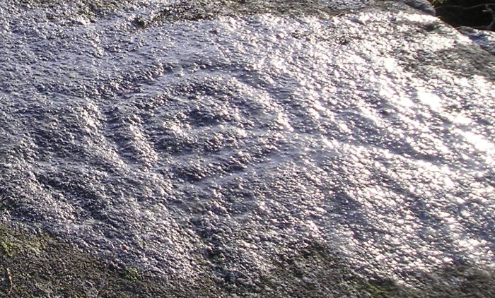 Birnam Hill (Cup and Ring Marks / Rock Art) by tiompan