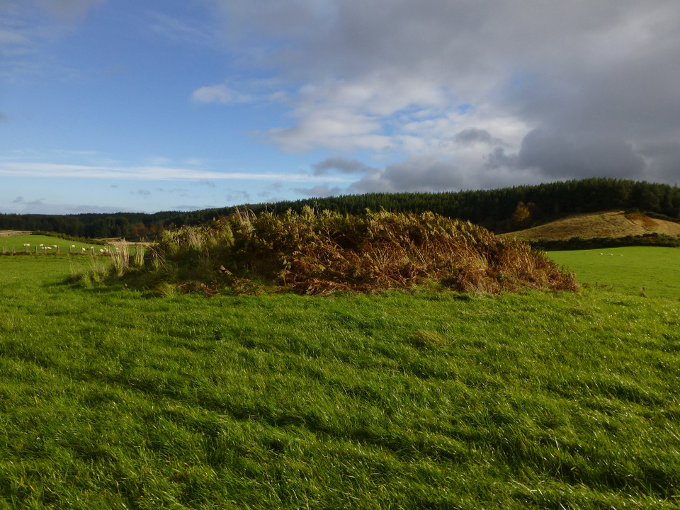 Culdoich South (Clava Cairn) by thesweetcheat