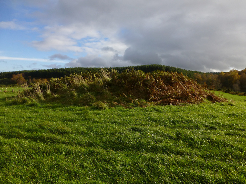 Culdoich South (Clava Cairn) by thesweetcheat