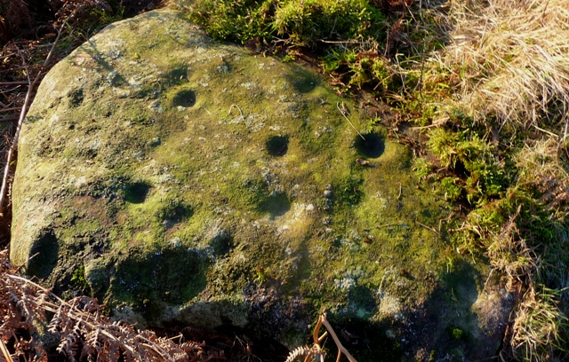 Gallow Hill 2 (Cup and Ring Marks / Rock Art) by drewbhoy