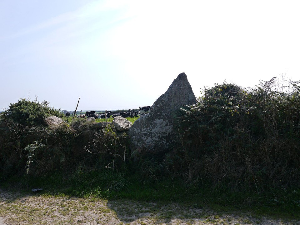 Boscawen-Un hedge (Standing Stone / Menhir) by Meic