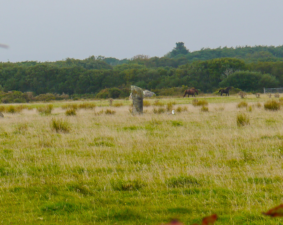 Crousa Common Menhirs (Standing Stone / Menhir) by Meic