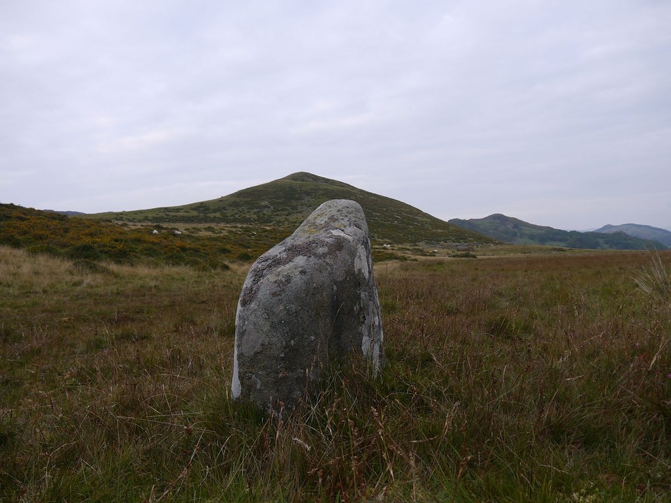 Hafotty-Fach Stones (Standing Stones) by Meic