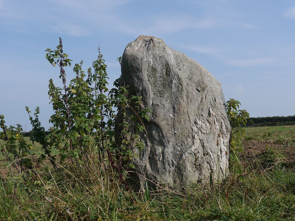 Llangaffo (Standing Stone / Menhir) by Meic