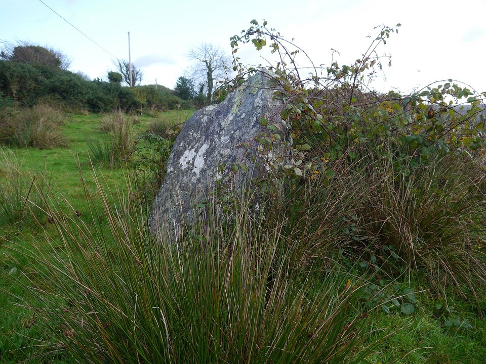 Keeltrasna (Standing Stone / Menhir) by Meic