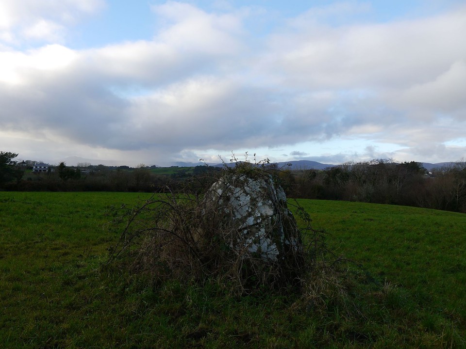 Cloonygorman (Standing Stone / Menhir) by Meic
