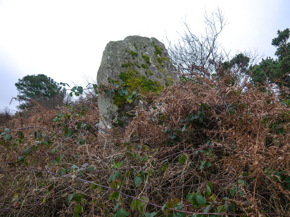Derryfineen (Standing Stone / Menhir) by Meic