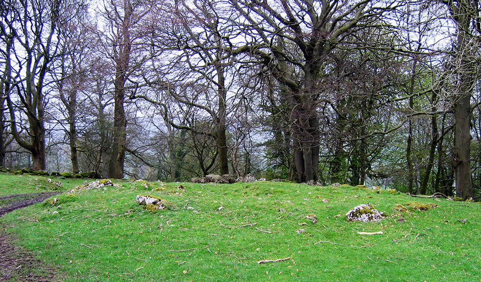 Barrow Hill (Kerbed Cairn) by LivingRocks