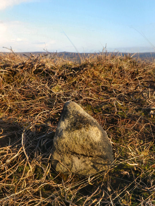 Offerton Moor  West (Stone Circle) by stubob