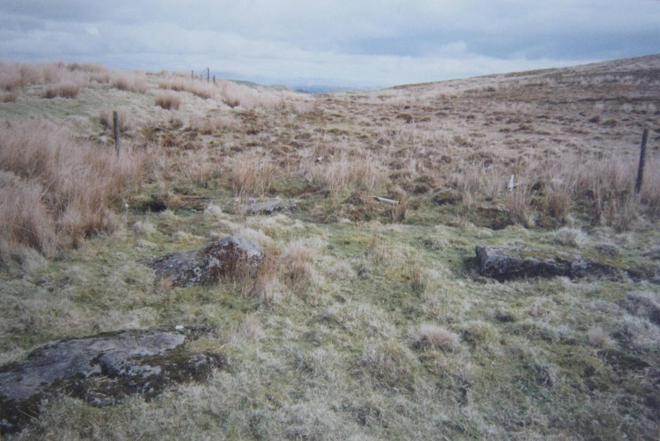 The Covenanter's Stone (Stone Circle) by rum