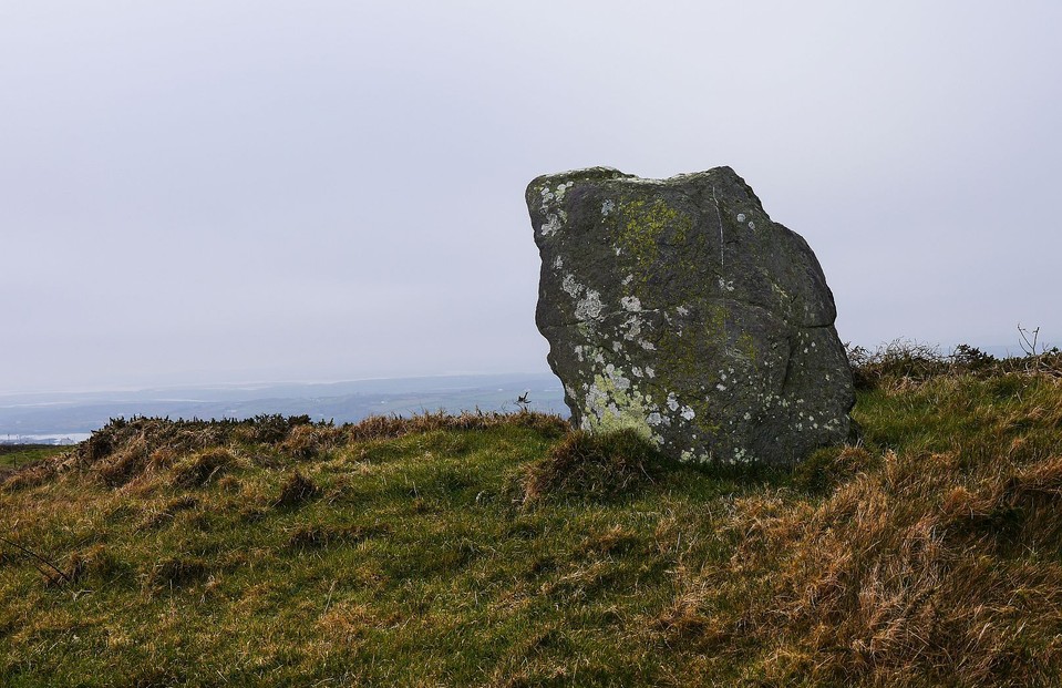 Ballymacrown (Standing Stone / Menhir) by Meic