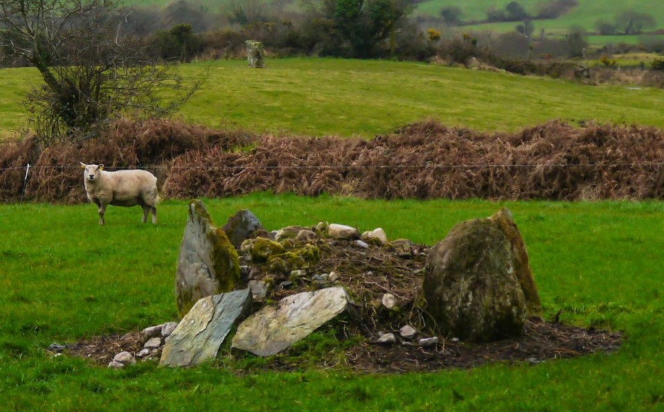 Trawlebane (Stone Circle) by Meic
