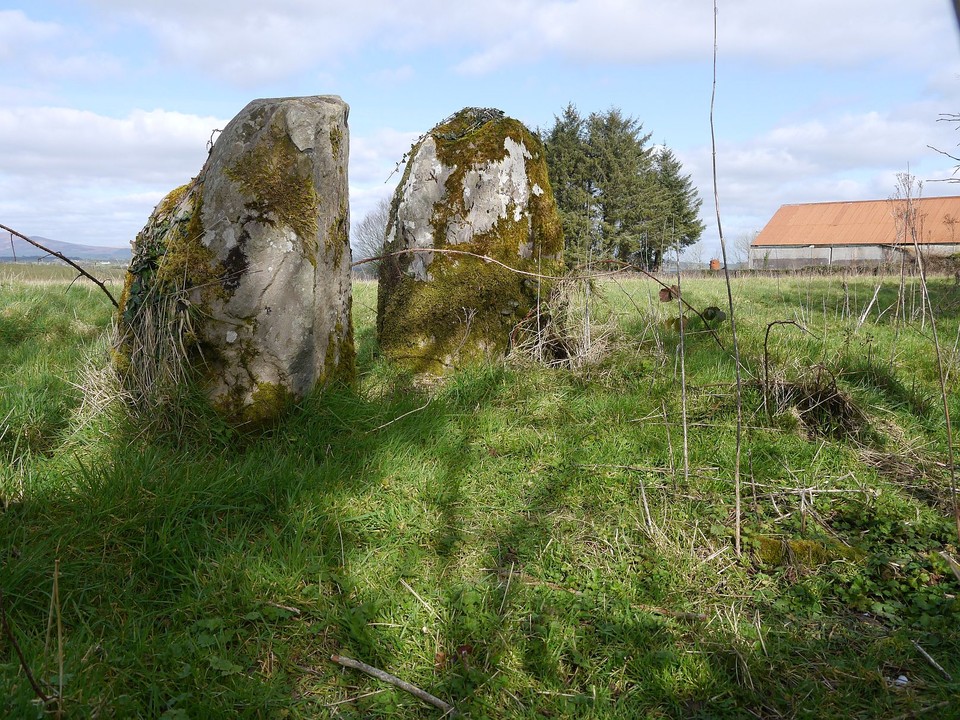 Carriganine Stone Circle (Stone Circle) by Meic