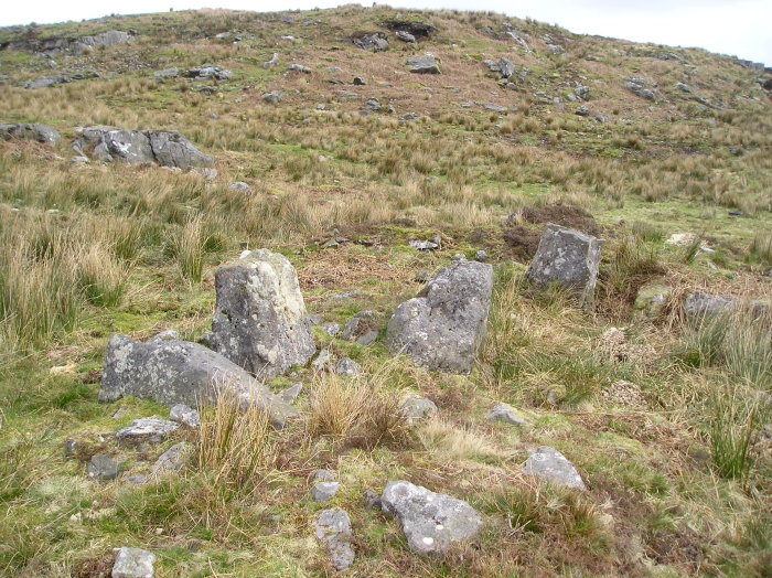 Craigmaddie Muir (Chambered Tomb) by tiompan