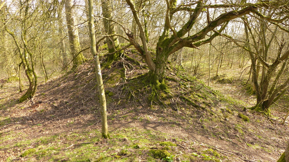 Norton Camp (Shropshire) (Hillfort) by thelonious
