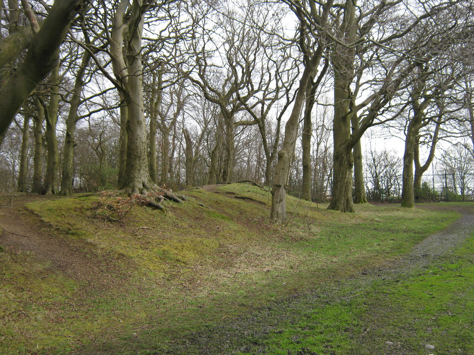 Camphill (Hillfort) by rum