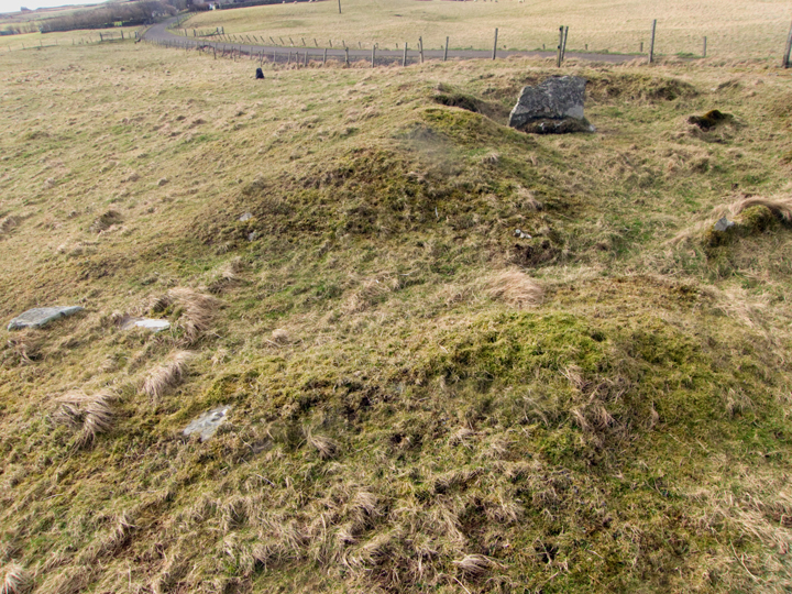 Redland South (Chambered Cairn) by wideford