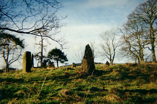 Sunhoney (Stone Circle) by davidtic