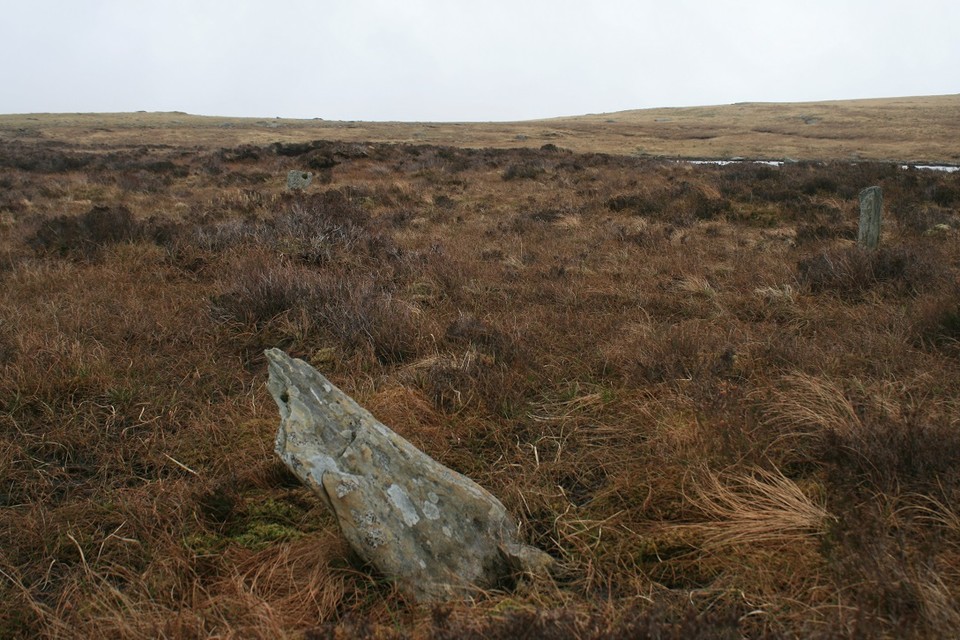 Dyffryn Mymbyr (Stone Circle) by postman