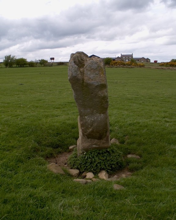 The Warrior Stone (Standing Stone / Menhir) by spoors599