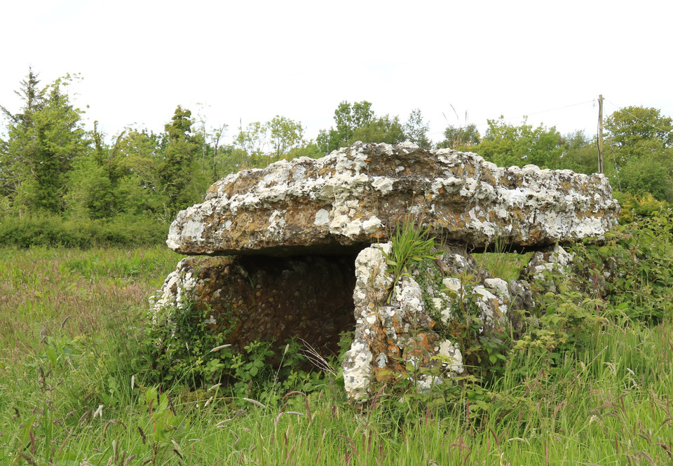 Kilcrimple (Wedge Tomb) by bogman
