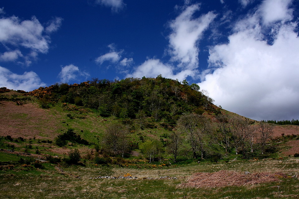Dunmore Hill (Hillfort) by GLADMAN