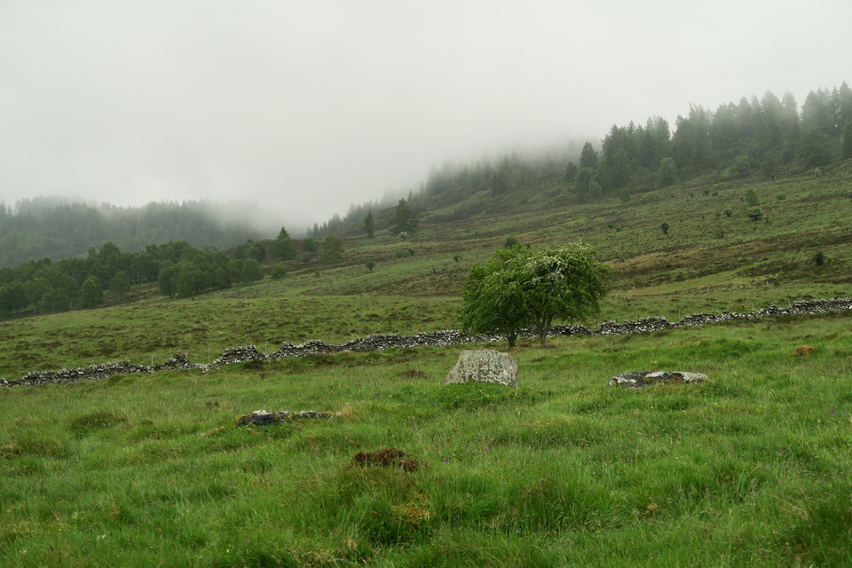 Strathgarry (Stone Circle) by thelonious