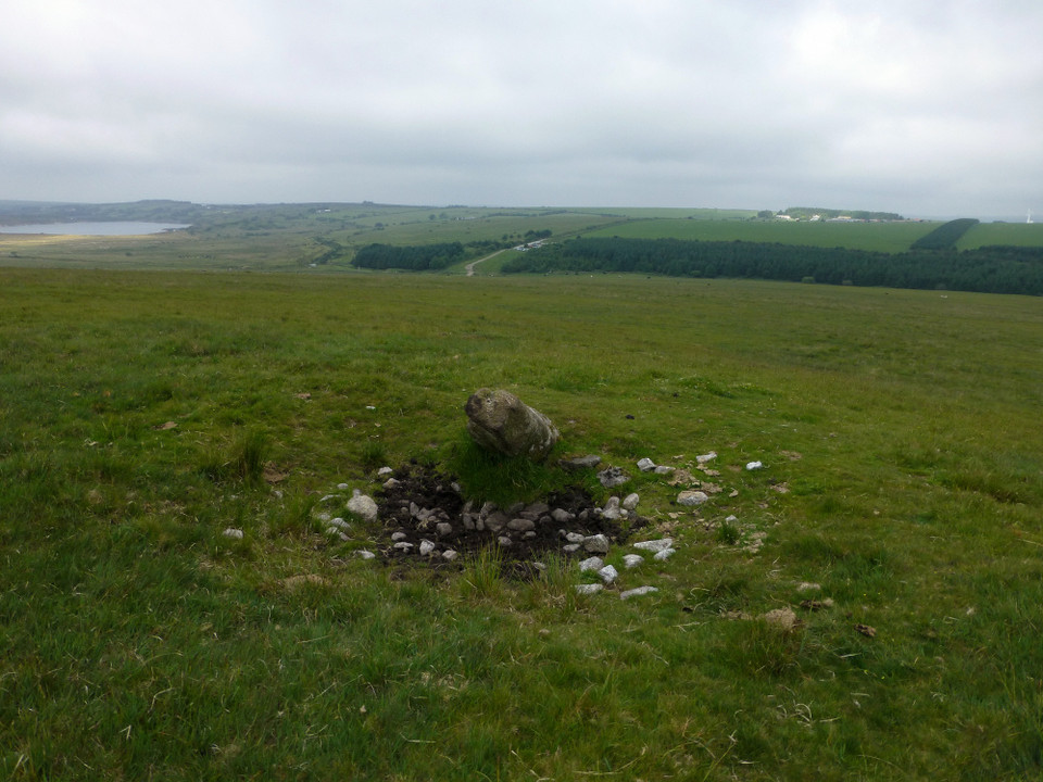 Roughtor NW (Standing Stone / Menhir) by thesweetcheat