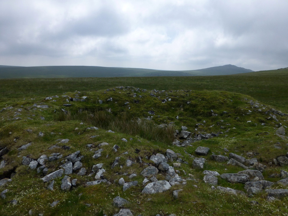 Showery Tor Downs Cairn (Cairn(s)) by thesweetcheat