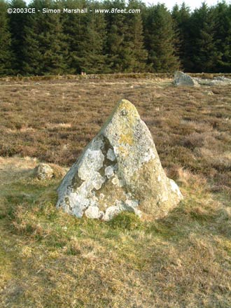 Maenllwyd y Rhos (Standing Stones) by Kammer
