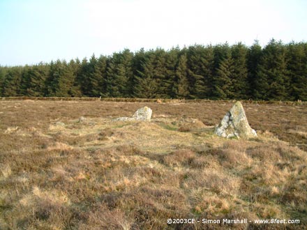 Maenllwyd y Rhos (Standing Stones) by Kammer