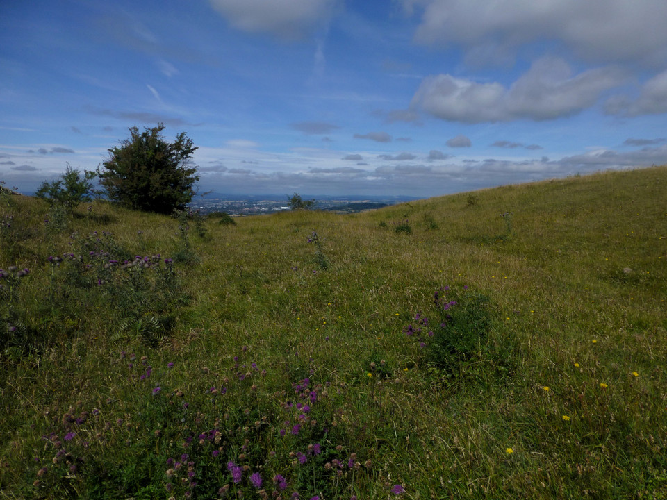 Crickley Hill (Causewayed Enclosure) by thesweetcheat