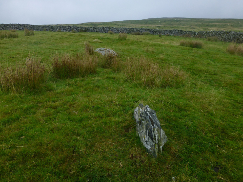 Ffridd Newydd (Stone Circle) by thesweetcheat