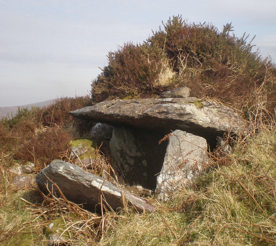 Drombohilly Wedge Tomb (Wedge Tomb) by Brotherkith
