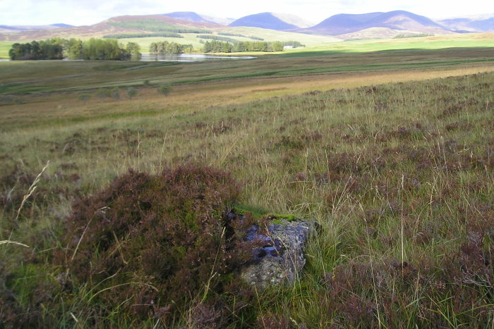 Glen Clune (Cup Marked Stone) by tiompan
