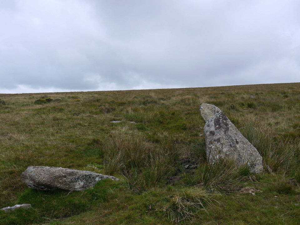 Piles Hill stone row (Stone Row / Alignment) by Meic