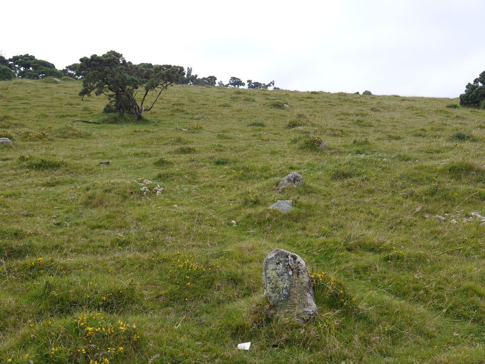 Shaugh Moor (Stone Row / Alignment) by Meic