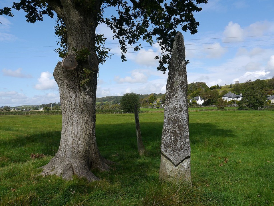 Llanbedr Stones (Standing Stones) by Meic