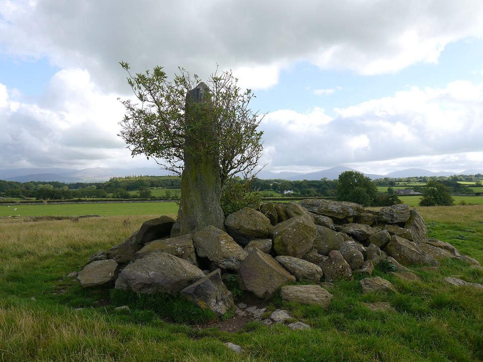 Tyddyn Bach Standing Stone (Standing Stone / Menhir) by Meic