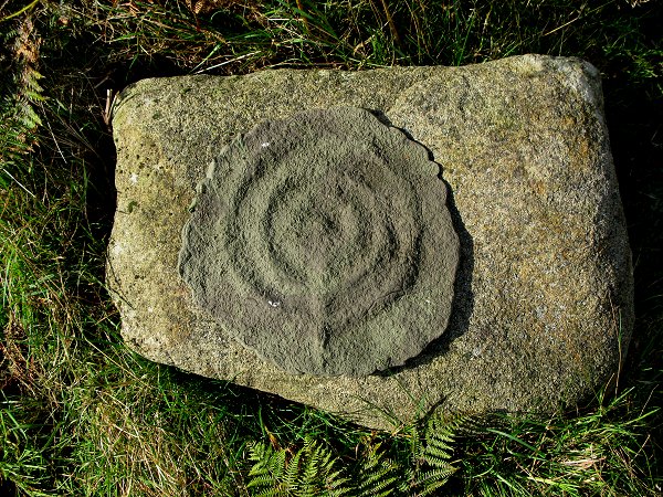 Dobb Edge (Cup and Ring Marks / Rock Art) by wiccaman9