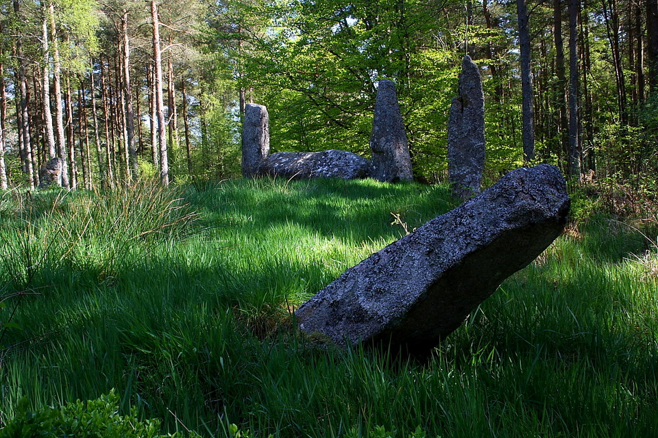 Cothiemuir Wood (Stone Circle) by GLADMAN