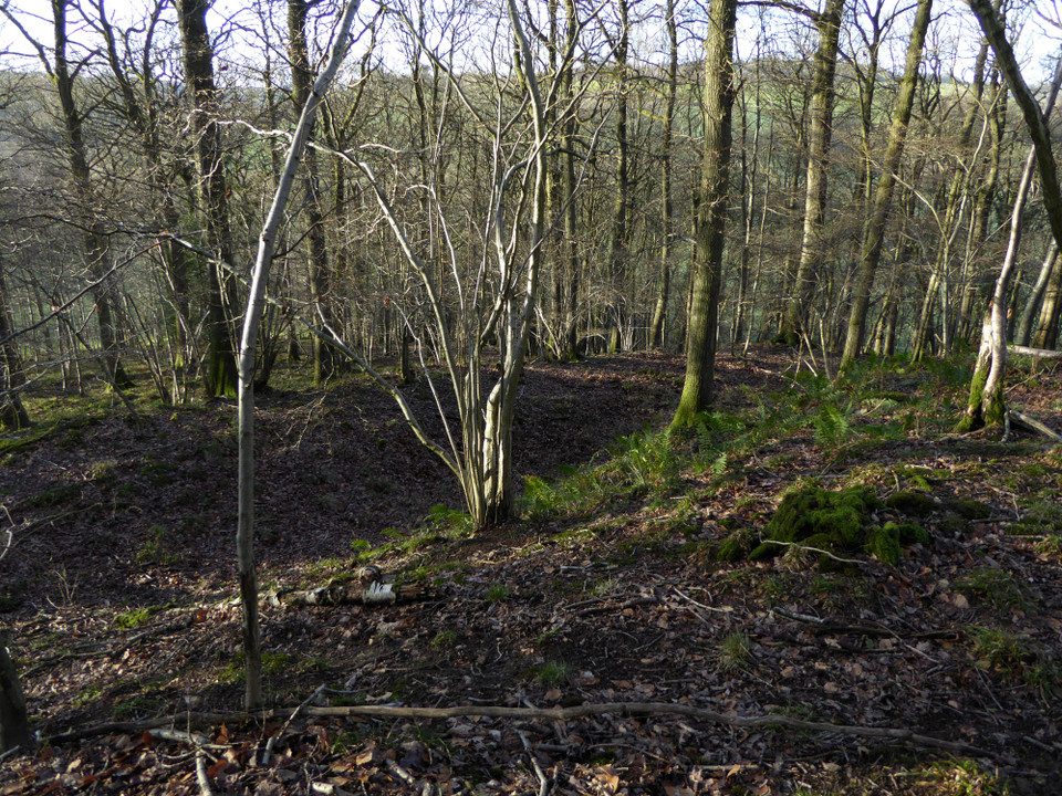 Pyon Wood Camp (Hillfort) by thesweetcheat