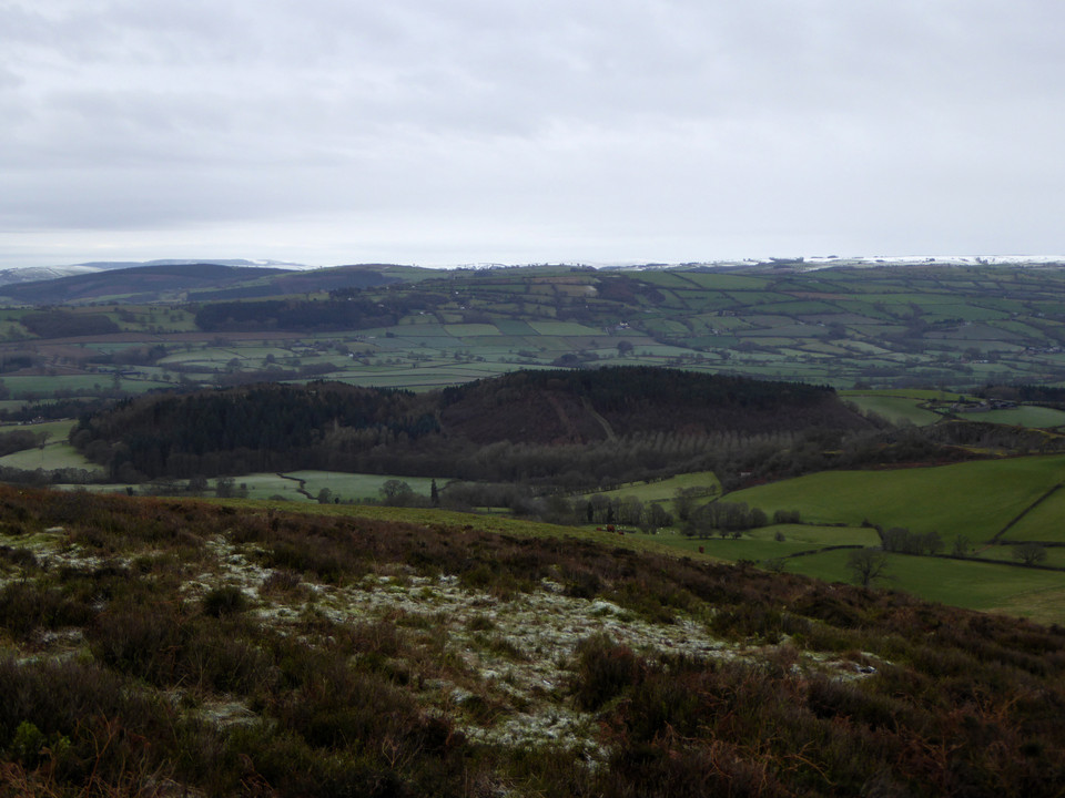 Roveries Hill (Hillfort) by thesweetcheat