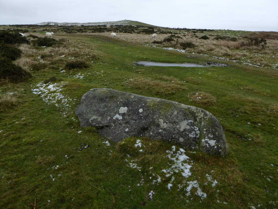 The Cow Stone (Standing Stone / Menhir) by thesweetcheat