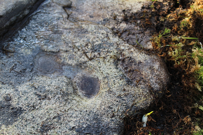 Drumcharry (Cup Marked Stone) by tiompan