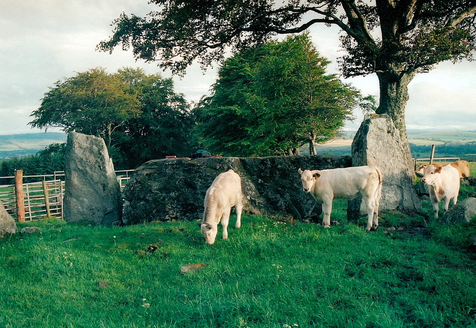 Old Keig (Stone Circle) by GLADMAN
