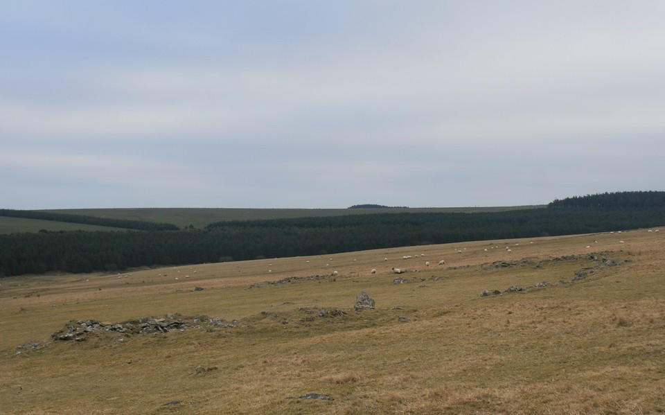 Roughtor North (Ancient Village / Settlement / Misc. Earthwork) by postman