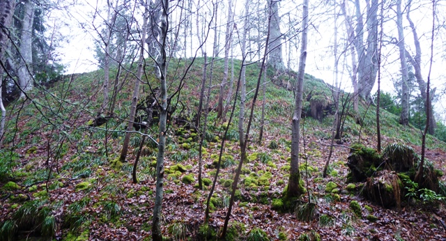 Doune Of Relugas (Hillfort) by drewbhoy